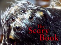 The_Scary_Book